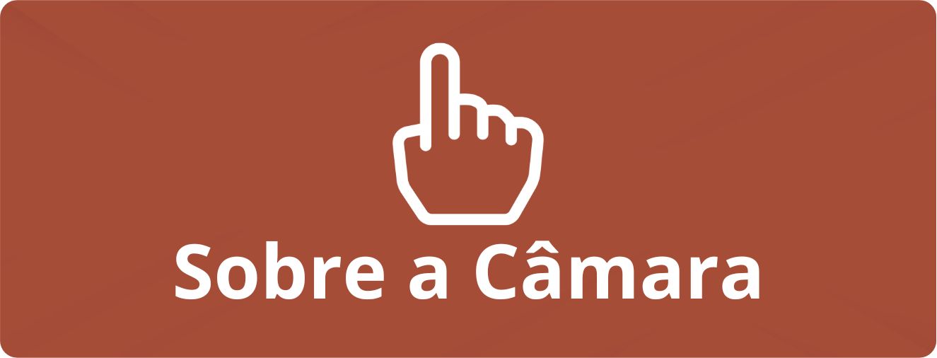 sobre-a-camara